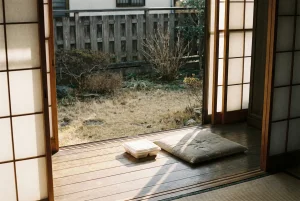 制度の狭間第2話アイキャッチ画像--縁側で座布団と弁当箱が置いてある写真